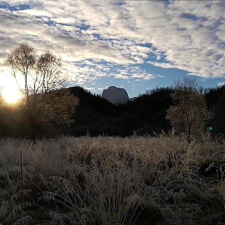 Skjellbogen Hyttegrend Sortland Zewnętrze zdjęcie