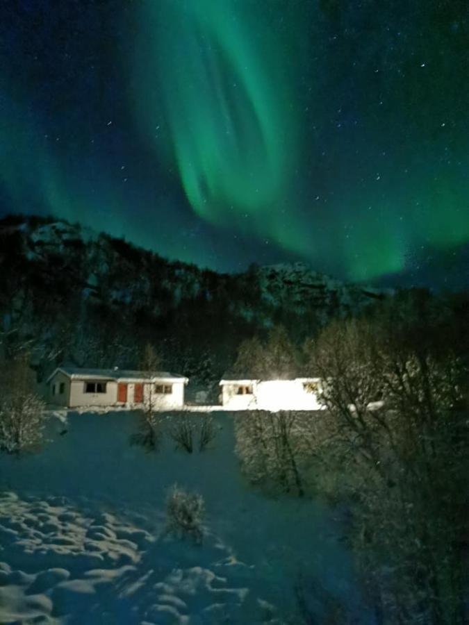 Skjellbogen Hyttegrend Sortland Zewnętrze zdjęcie